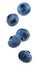 Falling blueberries isolated on a white background
