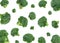 Falling broccoli isolated on a white background. Flying broccoli. Vegetable pattern for packaging design. Healthy food