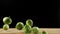 Falling brussels sprouts on black background, slow motion video