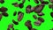 Falling coffee grains on a green background