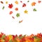 Falling Fall Leaves. Vector