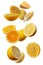 Falling fresh mixed citruses. Slices of the lemon and orange the air. Flying fruits concept