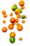 Falling fruits, citruses, oranges, pummelo, limes, tangerines and grapefruits on white background