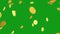 Falling gold coins green screen motion graphics
