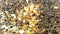 Falling gold glitter foil confetti, super slow motion movement on golden background, holiday and festive
