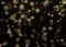 Falling Gold Snowflakes. Golden snowfall. New Year and Christmas pattern with golden snowflakes on black background. Vector