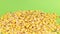 Falling grains of corn on a pile of corn on a green screen.
