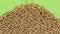 Falling grains of wheat on a pile of wheat on a green screen,