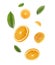 Falling juicy oranges with green leaves isolated on transparent background. Flying defocusing slices of oranges. Applicable for