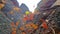 Falling leaves and spider web on laterite stone