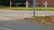 Falling leaves on the street in autumn in the city