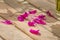 Falling petals of peony flower  on wooden table