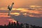 Falling plane with the inscription BREXIT against the background of London and the dramatic sky.