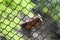 Falling rock stone rockfall slide protective fence barrier close-up macro