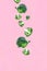 Falling soaring green broccoli slices on a pink background.
