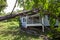 Falling tree after hard storm on damage house