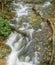 Fallingwater Creek in the Blue Ridge Mountains of Virginia, USA