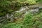 Fallingwater Creek located on the Blue Ridge Parkway