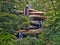 Fallingwater house near Uniontown, Pennsylvania