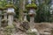 Fallow deer and stone lanterns in the Kasuga Shrine of Nara, Japan