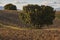 Fallow land. Rural landscape in Spain. Agriculture. Environment