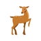 Fallow sika roe deer, wild animal cartoon vector Illustration