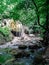 Falls and bed of a mountain river on the Russian coast of the Black Sea.