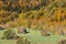 Falls foliage and little hut in Vermont countryside.