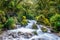 Falls in Lake Marian,New Zealand