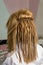 False dreadlocks. Hairstyle