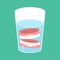 False teeth in glass. False jaw in glass beaker