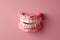 False teeth and jaw