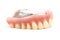 False teeth prosthetic