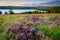 Falstone Moss overlooks Kielder Water