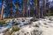 Falun - March 31, 2018: Forest lodges at Framby Udde near the town of Falun in Dalarna, Sweden