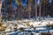 Falun - March 31, 2018: Forest lodges at Framby Udde near the town of Falun in Dalarna, Sweden