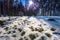 Falun - March 31, 2018: Forest lodges at Framby Udde near the town of Falun in Dalarna, Sweden