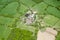 Fam and allotments in Surrey, Aerial View