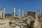 Famagusta, Turkish Republic of Northern Cyprus. Columns at Ancient City Salamis Ruins