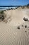 Famara beach, Lanzarote