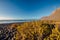 Famara beach, scenic landscape with plants, ocean and mountain in Lanzarote, Canary islands
