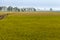 Famer walking on paddy field