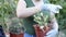 In familiar garden, an unrecognizable mother and daughter engage in the therapeutic act of caring for their plants