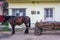 A familiar local scene: horse and milk cart, Valleni, Transylvania, Romania