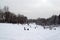 Families with children sledging and having fun in snow, Cmrok in Zagreb, Croatia