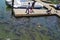 Families Feeding Carps at Smith Mountain Lake, Virginia