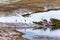 Families playing with sleds in the snow on the mountainside at the edge of a lake