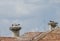 Families of storks stand in large nests against the blue sky and red tiled roofs as a symbol of family and home.