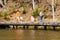 Families Walking at Pandapas Pond