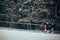 Family actively spending summer vacation together walking down a forest path